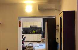 Apartament 2 camere cu gradina, proaspat renovat, AC,50mp, zona USAMV, Centru