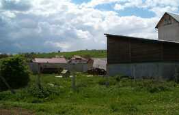 Teren intravilan 3.000 mp cu destinatie industriala