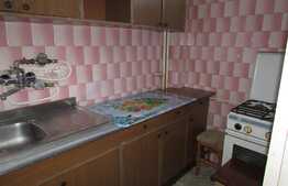 Garsoniera, 28 mp, zona Casa Piratilor