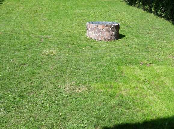 Casa de vânzare 4 camere Borhanci - 34687CV | BLITZ Cluj-Napoca | Poza3