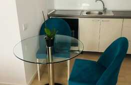 Garsoniera, 30 mp, mobilat lux, parcare, zona Sora