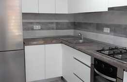 Apartament 2 camere, 54 mp, curte, modern mobilat, garaj, zona strazii Calea Turzii