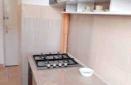 Apartament 2 camere, 45 mp, pet friendly, prima inchiriere, zona Interservisan