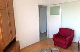 Apartament 2 camere, 45 mp, pet friendly, prima inchiriere, zona Interservisan