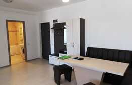 Apartament 2 camere, 56 mp, totul nou, zona strazii Corneliu Coposu, pet friendly