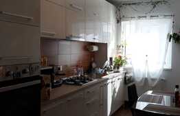 Apartament 2 camere, decomandat, 55 mp, parcare, zona Vivo