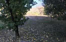 Casa de vanzare D+P+E+M, 378 mp utili, 500 mp teren, finisata la cheie!