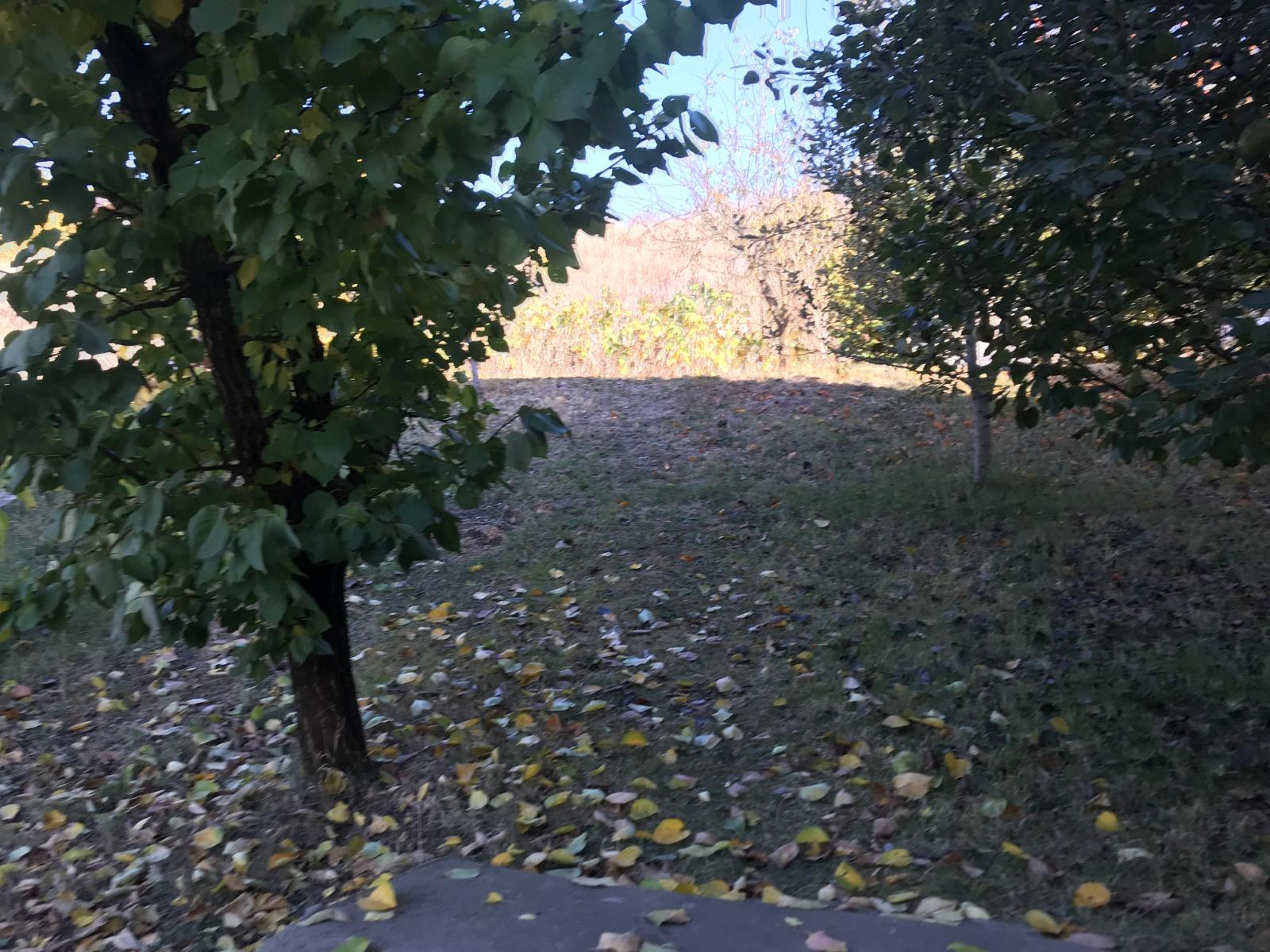 Casa de vânzare 5 camere Dambul Rotund - 34737CV | BLITZ Cluj-Napoca | Poza3