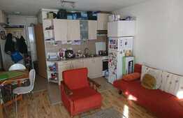 Apartament 1 camera, parcare, bloc nou, zona Profi
