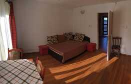 De vanzare apartament 1 camera, 32 mp, zona Piata Mihai Viteazu