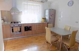 Duplex de 110 mp utili, teren de 180 mp! Zona strazii Somesului!