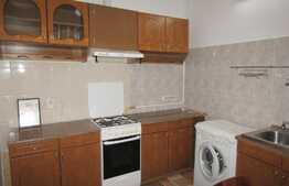 Apartament 2 camere, 48 mp, prima inchiriere, parcare, gradina, zona Calea Motilor