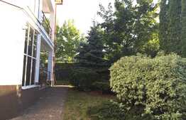 Duplex, 428 mp, 542 mp teren, zona verde si insorita!