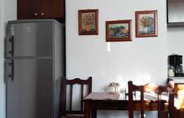 Apartament 2 camere, 48 mp, zona Parcului Central