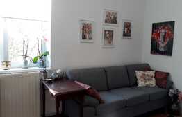 Apartament 2 camere, 48 mp, zona Parcului Central