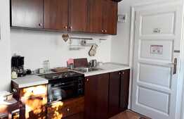 Apartament 2 camere, 48 mp, zona Parcului Central