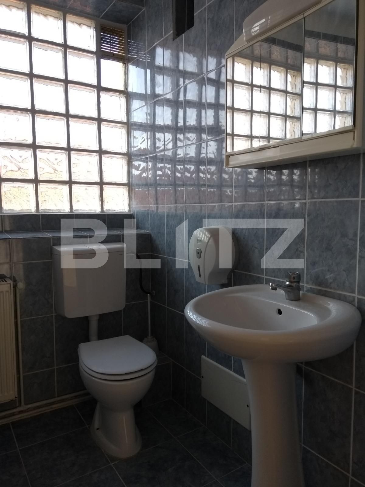 Spațiu birouri de închiriat Bună Ziua - 34796SIB | BLITZ Cluj-Napoca | Poza5