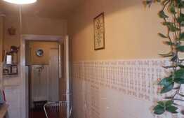 Apartament 2 camere, etaj intermediar, zona strazii Parang