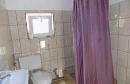 Apartament 1 camera, 50 mp, parcare, gradina, zona strazii Corneliu Coposu