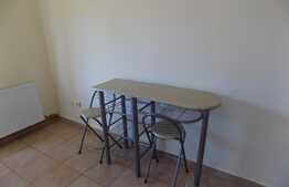 Apartament 1 camera, 50 mp, parcare, gradina, zona strazii Corneliu Coposu