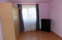Apartament 1 camera, 50 mp, parcare, gradina, zona strazii Corneliu Coposu