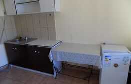 Apartament 1 camera, 50 mp, parcare, gradina, zona strazii Corneliu Coposu