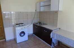 Apartament 1 camera, 50 mp, parcare, gradina, zona strazii Corneliu Coposu