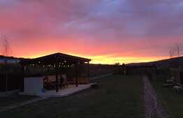 Casa cu 1200 mp teren, 4 camere, mobilata si utilata!