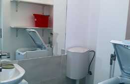 Apartament 4 camere pe doua nivele, 80 mp, gradina, mobilat lux, zona strazii Eugen Ionesco