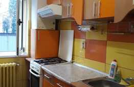 Apartament 2 camere, semidecomandat, 48 mp, zona strazii Bucium 