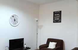 Apartament 2 camere, ideal pentru investitie, 48 mp, zona Piata Muzeului