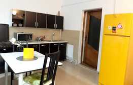 Apartament 2 camere, ideal pentru investitie, 48 mp, zona Piata Muzeului