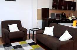 Apartament 2 camere, ideal pentru investitie, 48 mp, zona Piata Muzeului