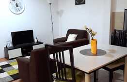 Apartament 2 camere, ideal pentru investitie, 48 mp, zona Piata Muzeului