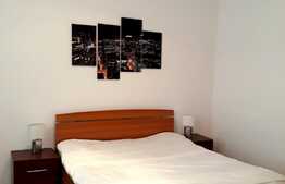 Apartament 2 camere, ideal pentru investitie, 48 mp, zona Piata Muzeului