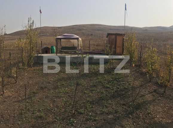 Casa de închiriat 2 camere Apahida - 34858CI | BLITZ Cluj-Napoca | Poza14