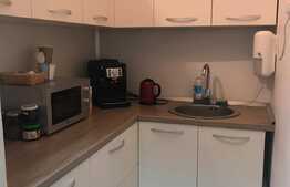 Casa 5 camere, 110 mp, 200 mp teren, zona Ultracentrala
