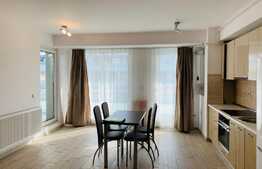 2 camere, 55 mp, parcare subterana, mobilat modern, zona Iulius Mall