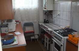 Apartament cu o camera, 35 mp, zona Fortuna