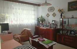 Apartament cu o camera, 35 mp, zona Fortuna