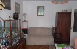 Apartament cu o camera, 35 mp, zona Fortuna