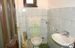 Casa 6 camere, 300 mp, 3400 mp teren, parcare, zona strazii Traian Vuia