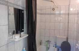 Casa individuala cu 4 camere, 110 mp, 350 mp teren, zona strazii Horea!