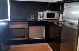 Apartament 2 camere, parcare, mobilat lux, gradina cu piscina, zona strazii Eftimie Murgu