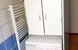 Apartament 2 camere, parcare, mobilat lux, gradina cu piscina, zona strazii Eftimie Murgu