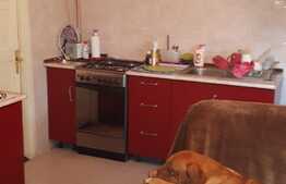 Casa de vanzare, 109 mp, 386 mp teren, zona 7 Strazi!