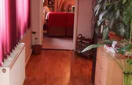 Casa de vanzare, 109 mp, 386 mp teren, zona 7 Strazi!