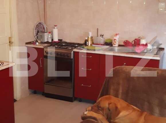 Casa de vânzare 3 camere Gruia - 34958CV | BLITZ Cluj-Napoca | Poza5