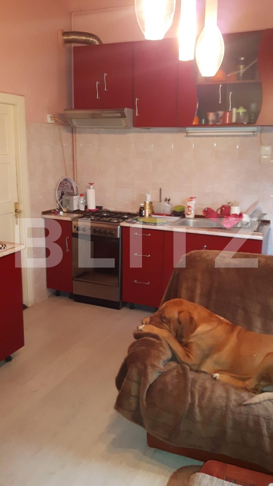 Casa de vânzare 3 camere Gruia - 34958CV | BLITZ Cluj-Napoca | Poza5