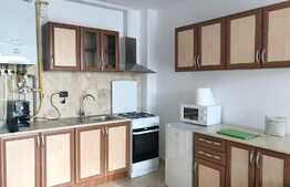 Apartament 2 camere, 50 mp, imobil Nou, pet friendly, zona Taietura Turcului